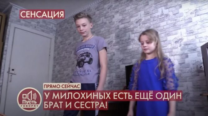 Сводные