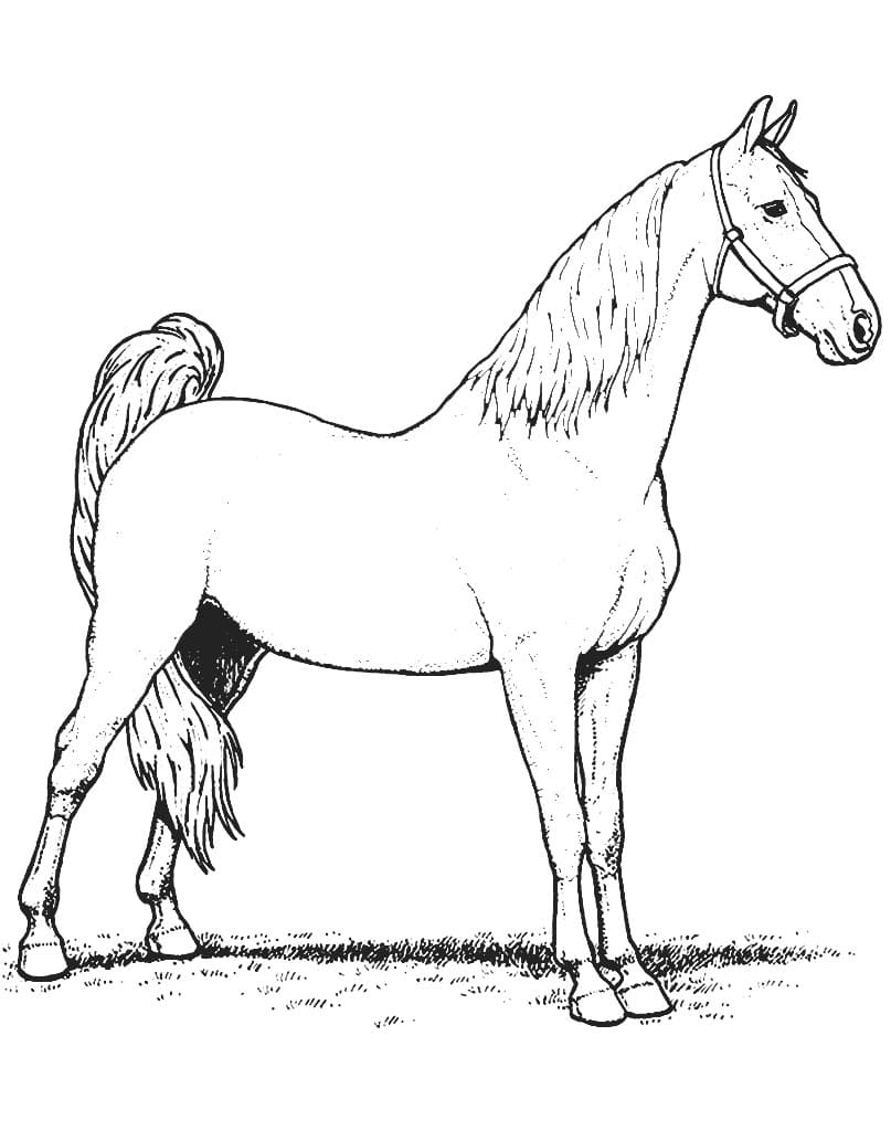 Раскраска для детей с лошадью