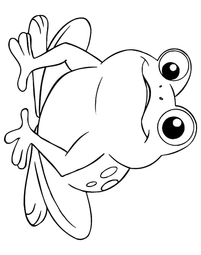 Раскраска лягушки для рисования
