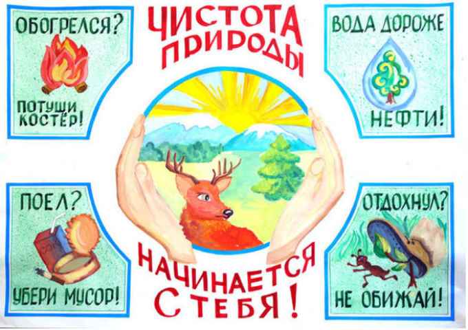 Плакат «Чистота природы начинается с тебя».