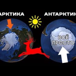 Сравнение Арктики и Антарктики