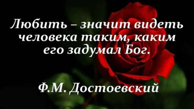 Цитаты о любви Цитаты о любви